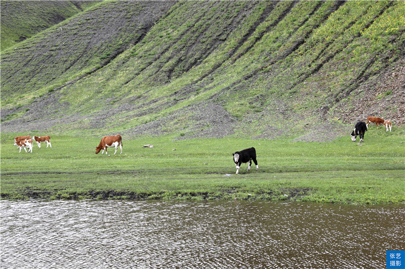暑假去哪里玩?呼伦贝尔草原景美羊肥,是一个去了还想再去的地方休闲区蓝鸢梦想 - Www.slyday.coM 暑假去哪里玩?呼伦贝尔草原景美羊肥,是一个去了还想再去的地方休闲区蓝鸢梦想 - Www.slyday.coM