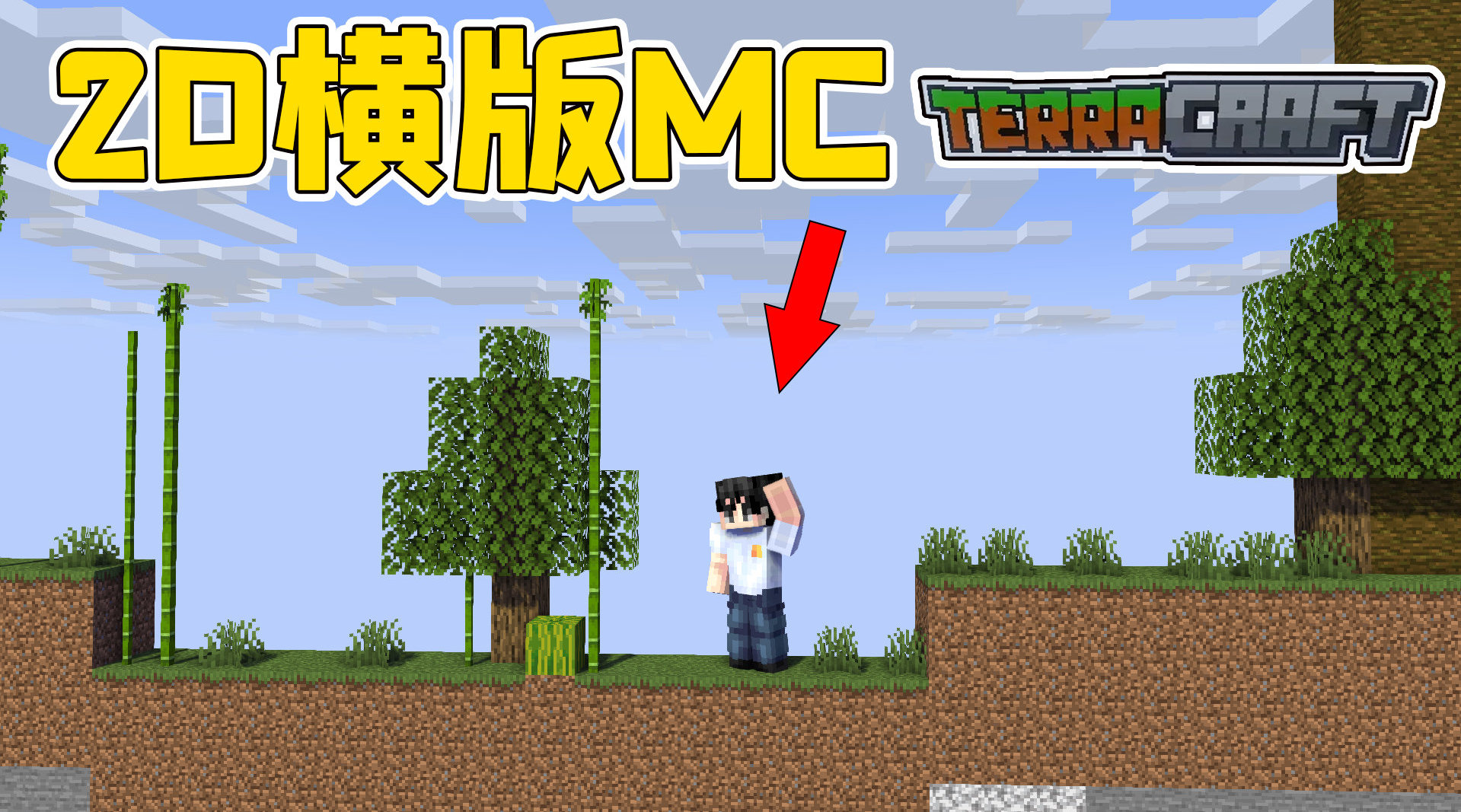 我的世界mod：假如MC变成2D横版游戏……_新浪新闻