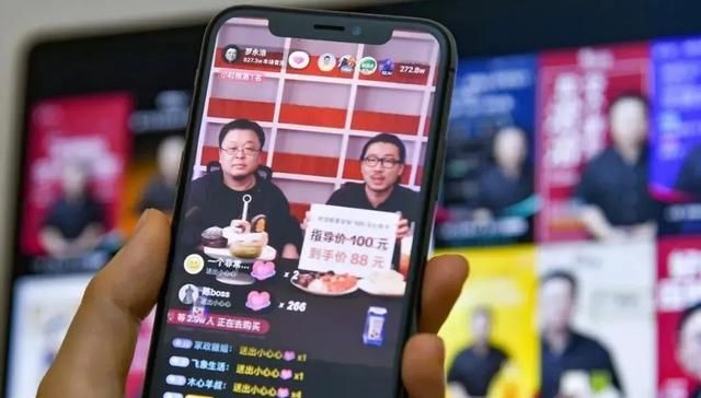 罗永浩妻子担保债务 罗永浩的老婆是谁?