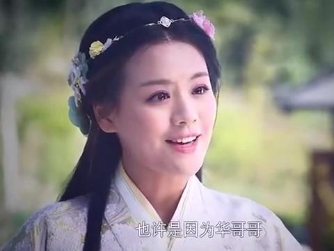 魏国公主长得跟仙女似的皇子一见她的容颜什么宝贝都送给她