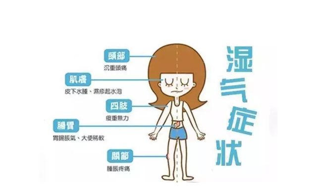 体内湿气重的表现,三伏天是祛湿的好季节,建议了解一下