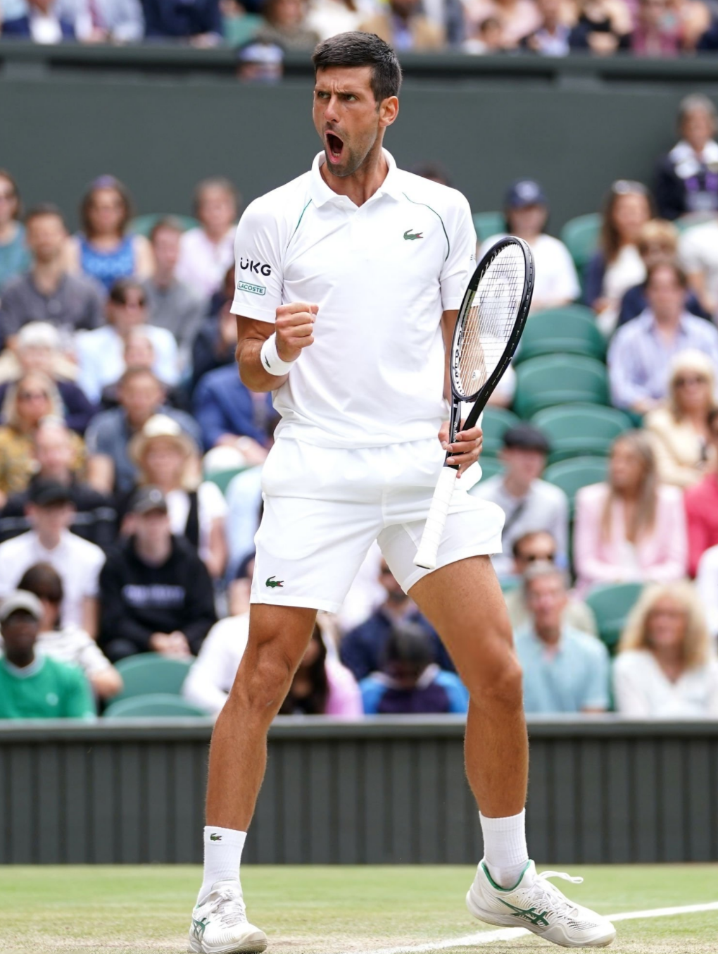 连胜15盘温网19连胜无敌德约科维奇进四强距20冠只差2胜