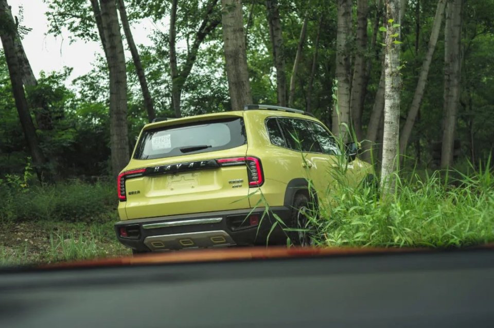 可城可野哈弗大狗越野体验