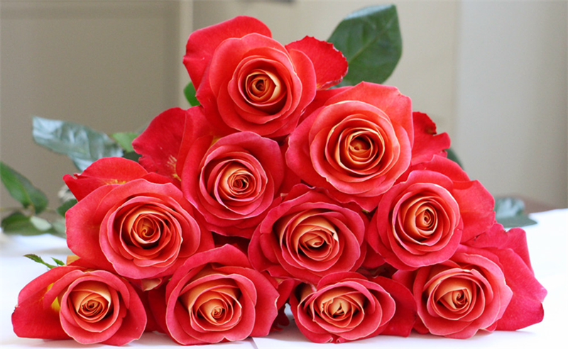 月季新品种"如意"获得鲜切花新品种金奖(央广网发 受访者供图)