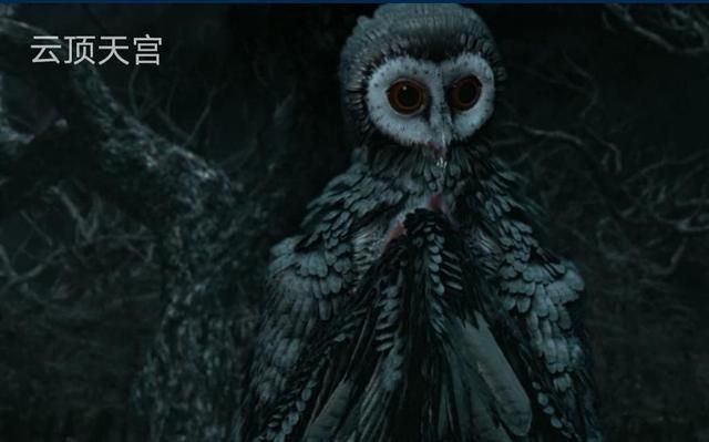 真的来了云顶天宫官宣定档铁三角集结拯救剧荒