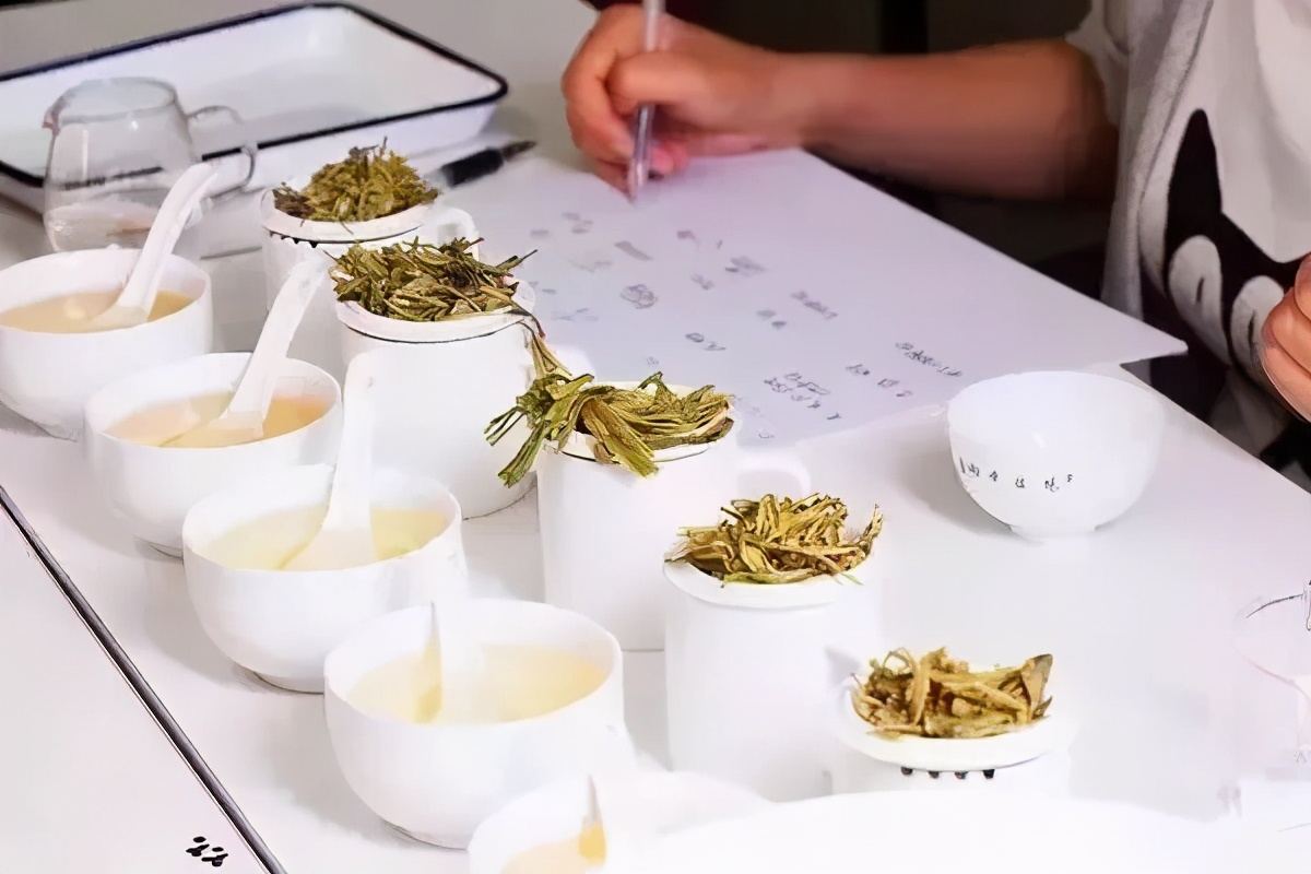 专业!评茶专家都是这样评判茶叶品质的