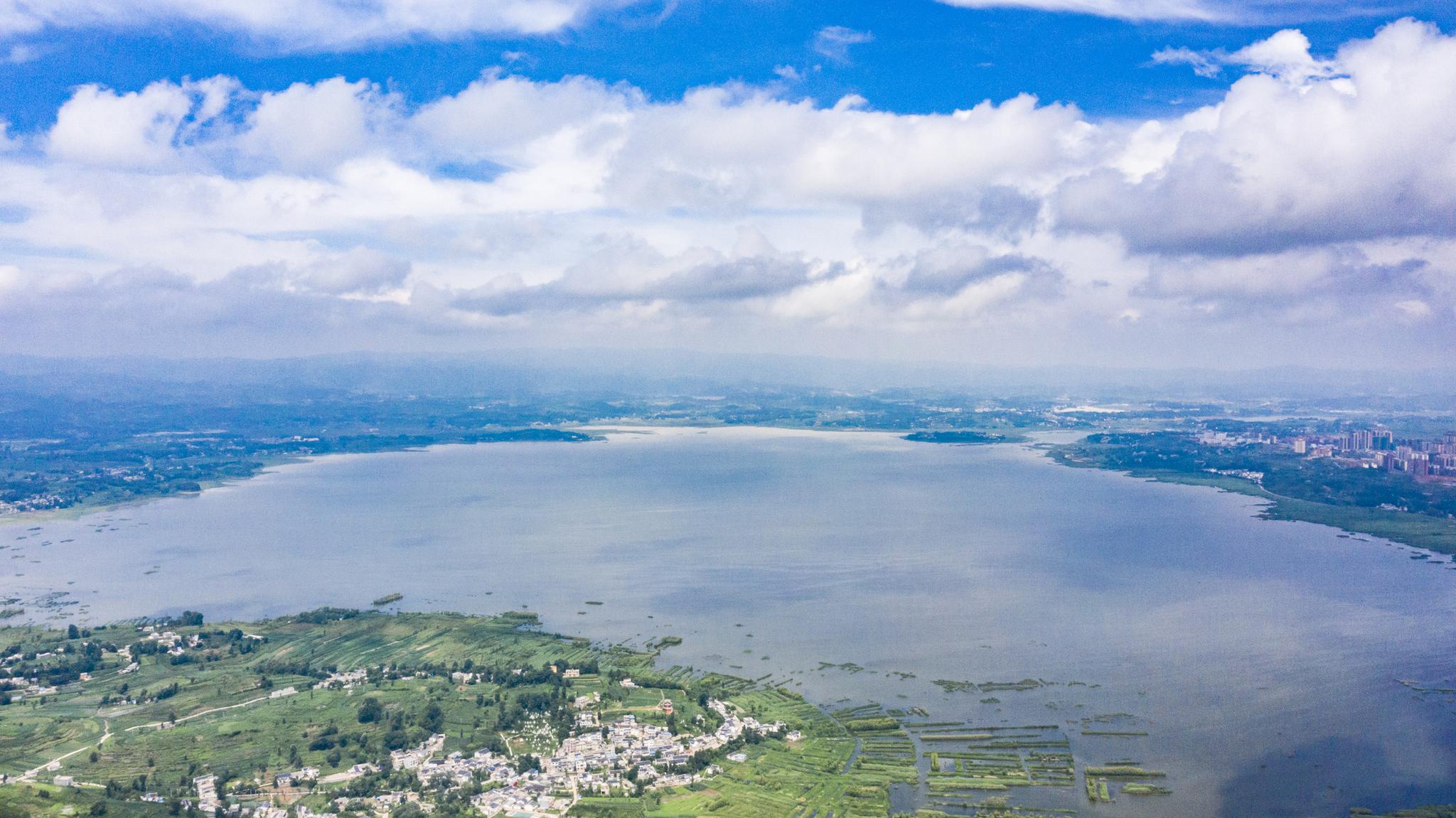 夏日草海景如画
