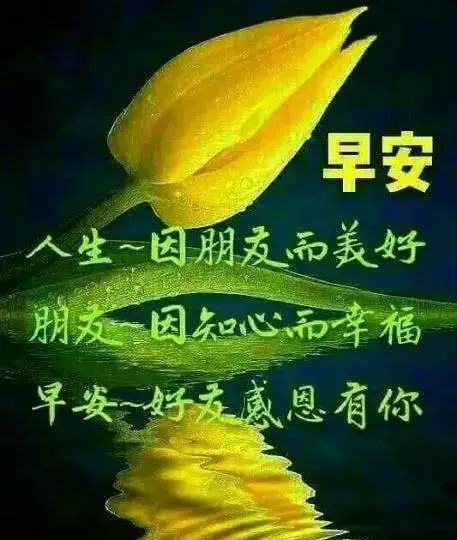 情感短句很温馨的清晨问候语