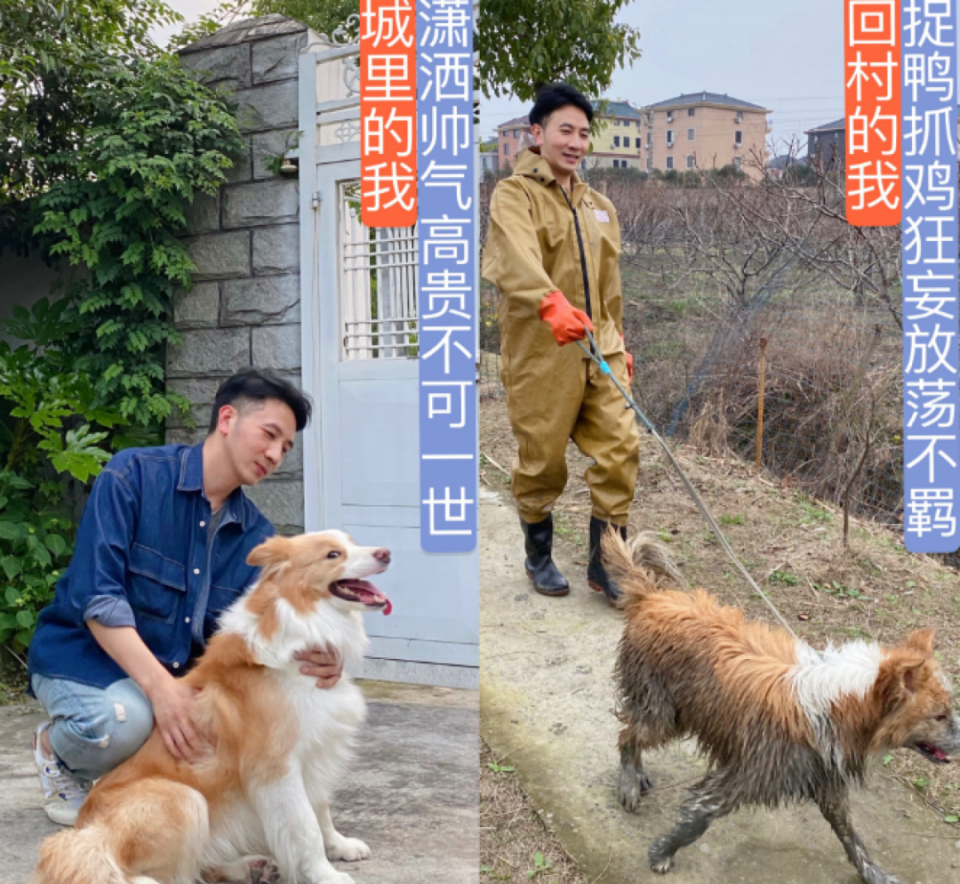 回应被亡妻哥哥反怼？林生斌的中年疼痛文学，为什么感动不了人？休闲区蓝鸢梦想 - Www.slyday.coM