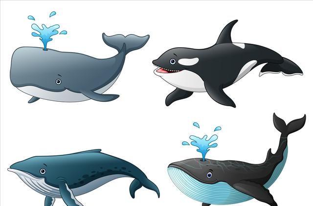 时代,从陆地向海洋转化的生物还有不少,其中就包括已经灭绝的索齿兽