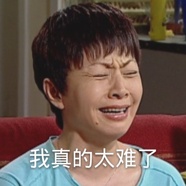 家有儿女表情包