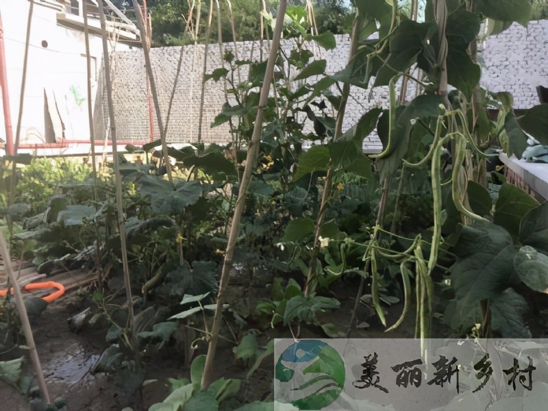 退休后搬去农村租房住,老人3年存下40万养老金,只为给子女减负休闲区蓝鸢梦想 - Www.slyday.coM 退休后搬去农村租房住,老人3年存下40万养老金,只为给子女减负休闲区蓝鸢梦想 - Www.slyday.coM