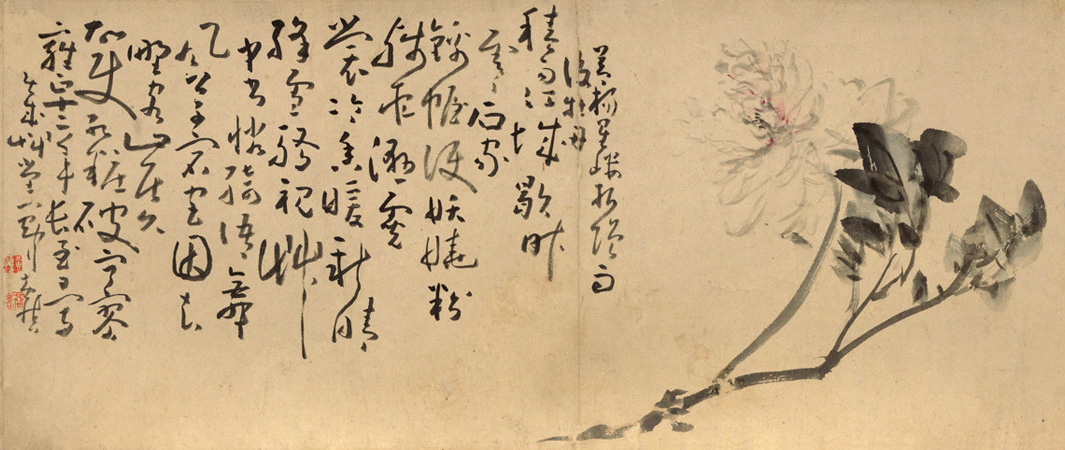 『清代画坛』黄慎《花卉图》长卷,超妙如神