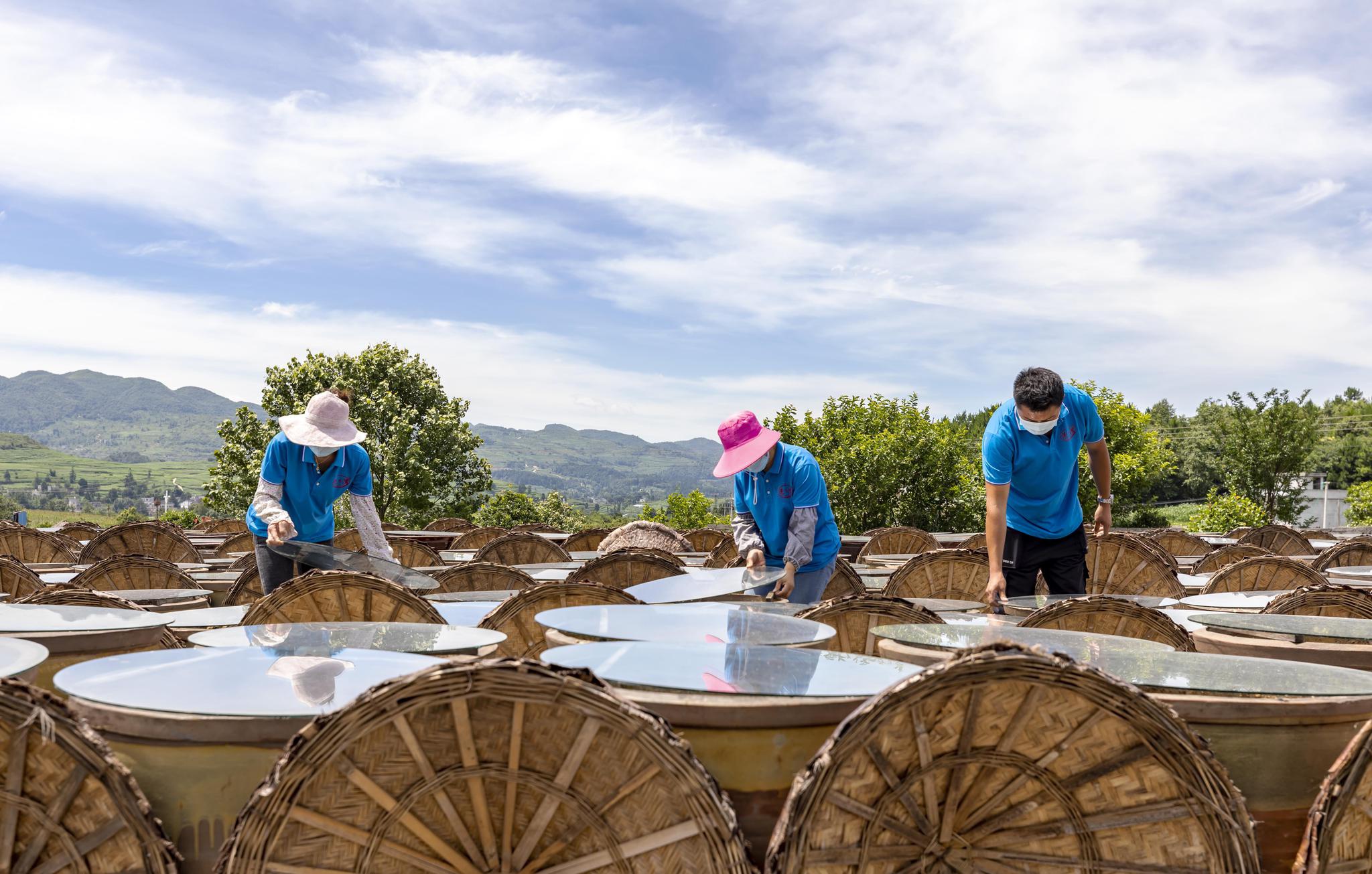 7月10日,工人在毕节市金沙县禹谟镇泡木湾酱醋基地查看酱醋晾晒情况