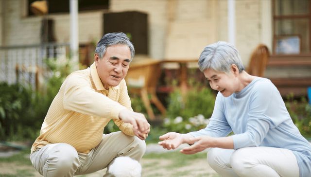 养老|丁克|退休_新浪新闻