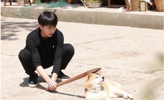 向往的生活为什么这么火?第五季豆瓣评分是多少口碑收视率如何怎么样