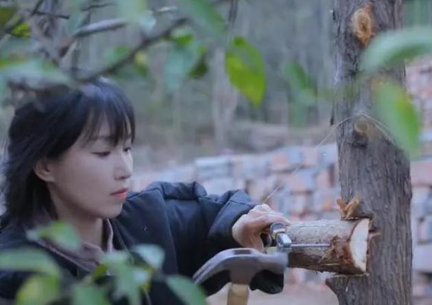 李子柒"豪宅"全景曝光,住千亩庄园犹如仙境,难怪外国人都羡慕