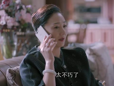 欢乐颂:包太太邀请安迪吃饭,让安迪特别不自在,老谭的话很在理