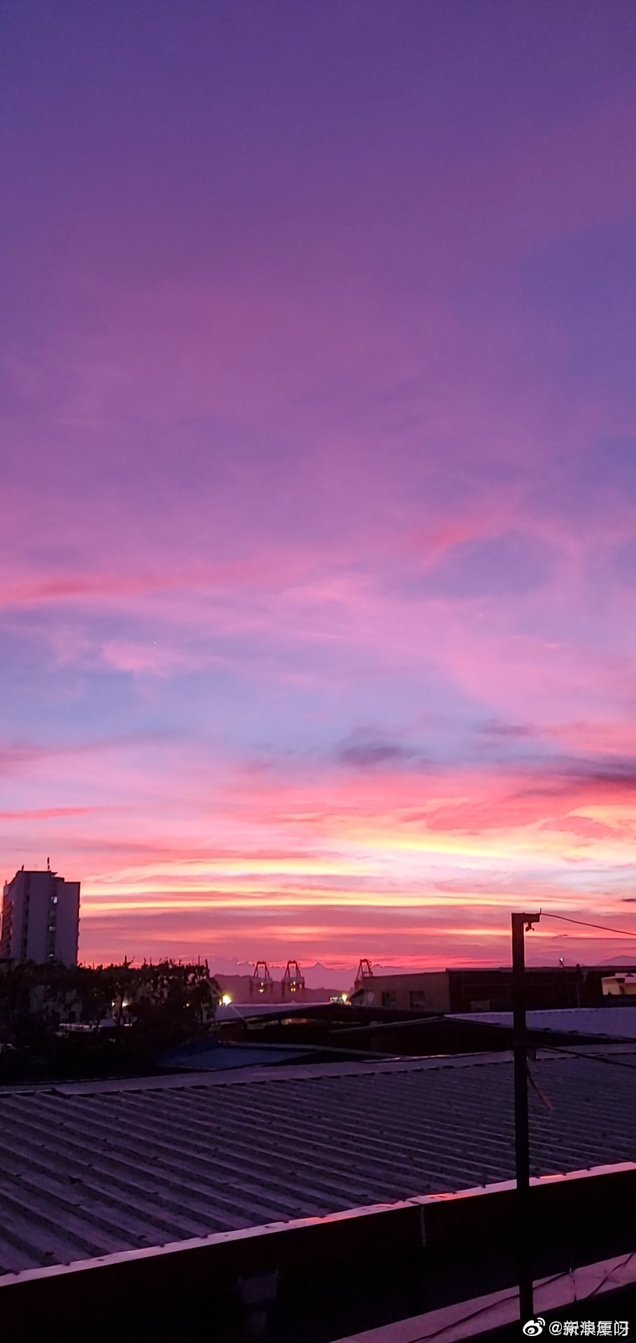 刚刚厦门天空出现绝美晚霞你看到了吗图源网友