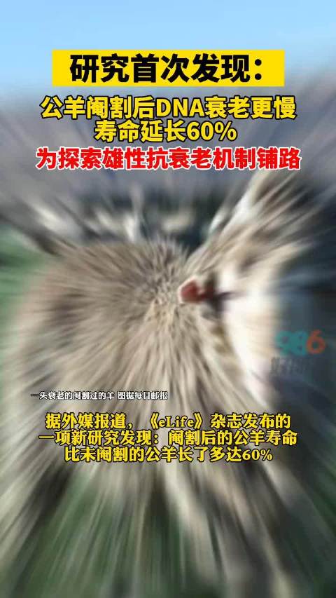研究首次发现：公羊阉割后DNA衰老更慢……