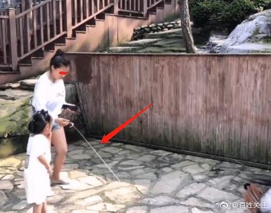 女子景区内拔掉孔雀羽毛网友怒了休闲区蓝鸢梦想 - Www.slyday.coM