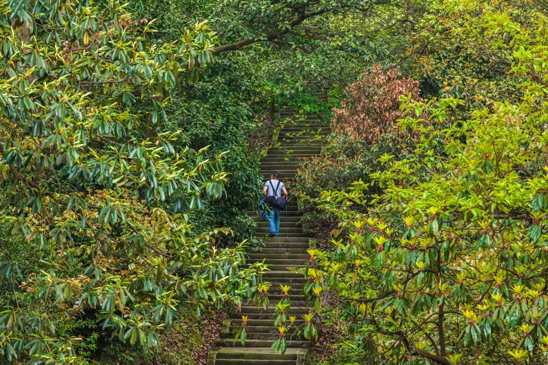 离息心所越来越近坡也越来越陡,脚下步伐变得沉重当你内心仍然想往前