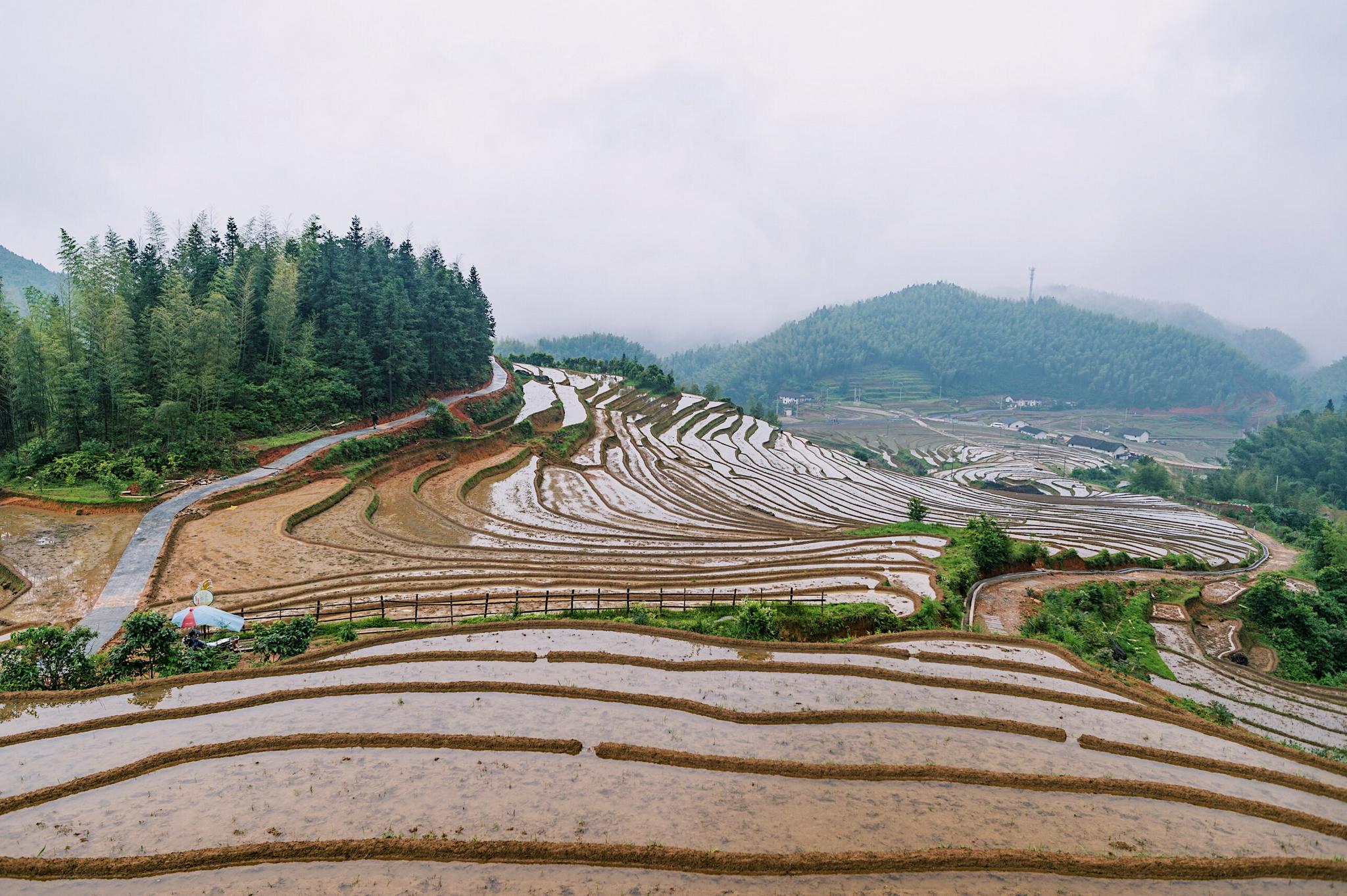 江西上堡梯田,国内三大梯田奇观之一,藏匿于深山之中鲜为人知