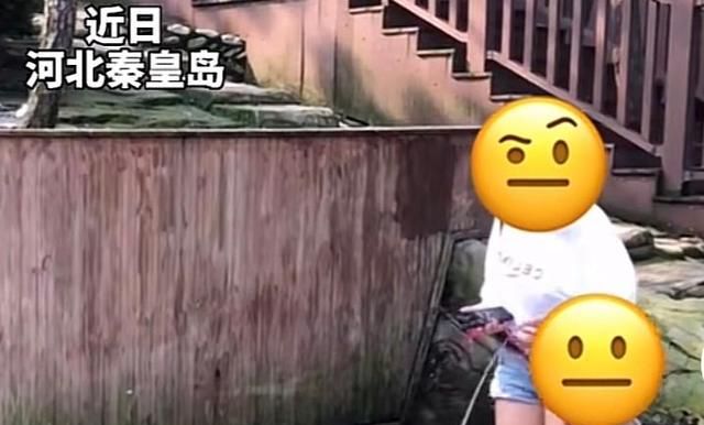 河北一位年轻女子在景区内猛拔孔雀羽毛,网友：孔雀看起来很痛苦休闲区蓝鸢梦想 - Www.slyday.coM