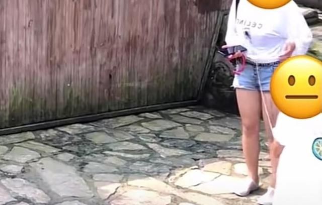 河北一位年轻女子在景区内猛拔孔雀羽毛,网友：孔雀看起来很痛苦休闲区蓝鸢梦想 - Www.slyday.coM