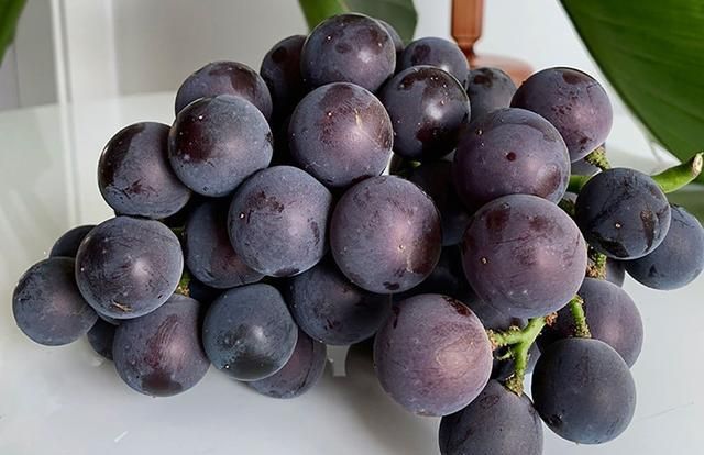 三伏天流汗多5种碱性水果要多吃生津解暑气应季营养还便宜