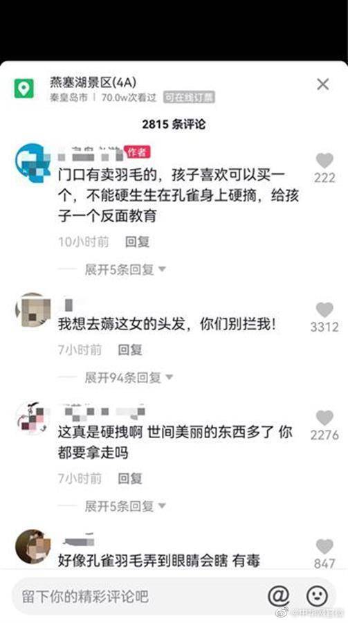 河北秦皇岛为逗孩子女子景区内拔掉孔雀羽毛 景区回应休闲区蓝鸢梦想 - Www.slyday.coM