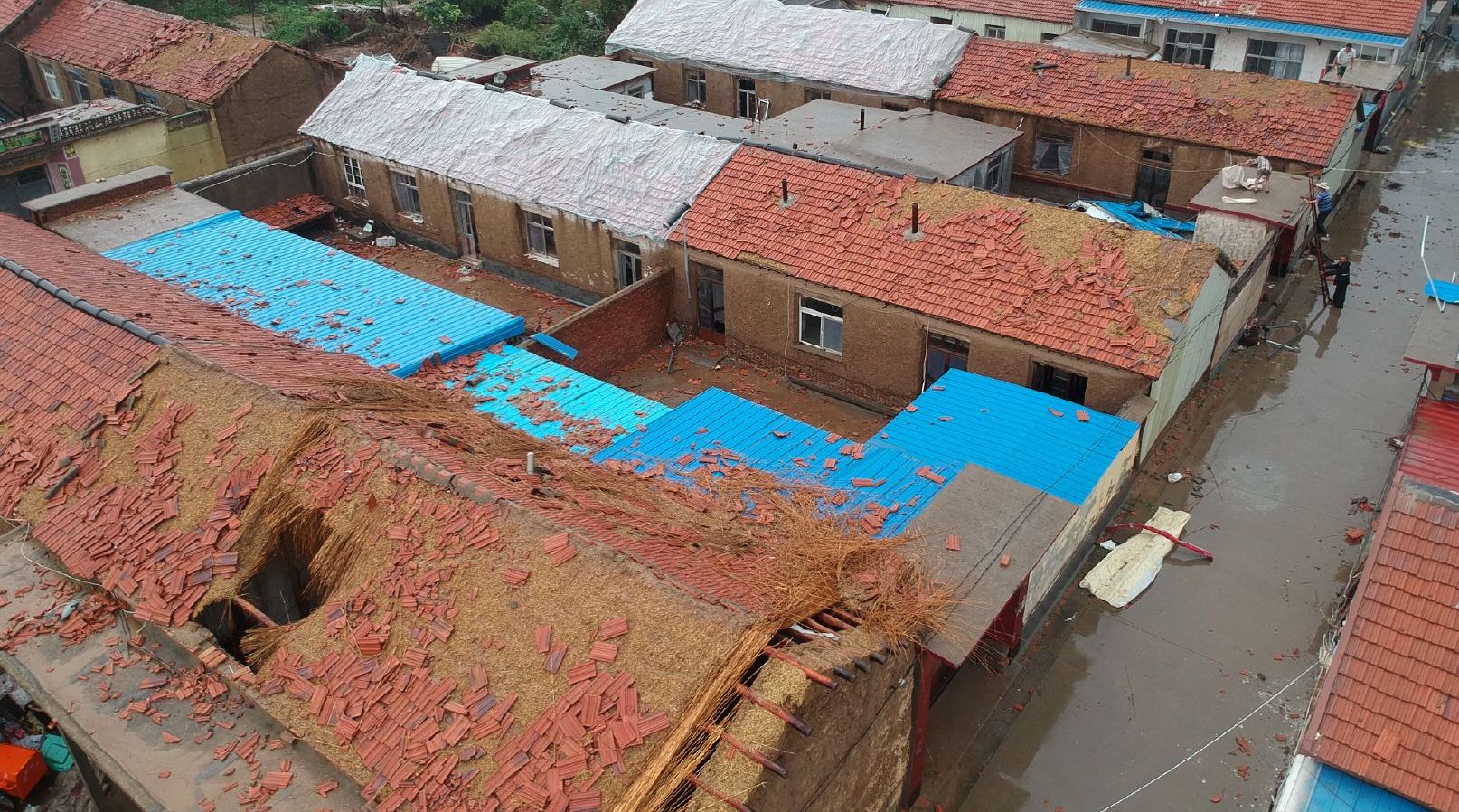 沾化一周天气今日情况 沾化一周天气今日情况