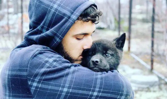 外出游玩发现1只小狗,带回家后越养越觉得不对劲:外国人胆子真大休闲区蓝鸢梦想 - Www.slyday.coM 外出游玩发现1只小狗,带回家后越养越觉得不对劲:外国人胆子真大休闲区蓝鸢梦想 - Www.slyday.coM