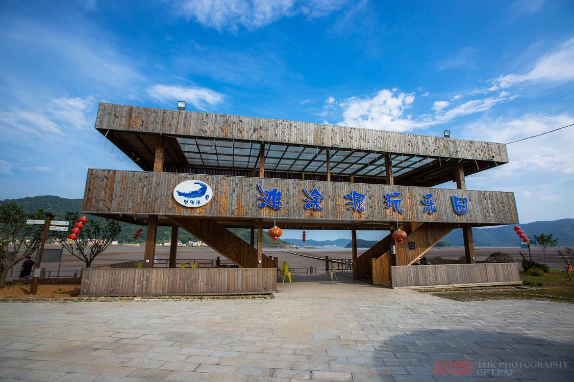 去浙江象山赶小海,人均80元品尝正宗海鲜大餐|象山|浙江|茅洋_新浪