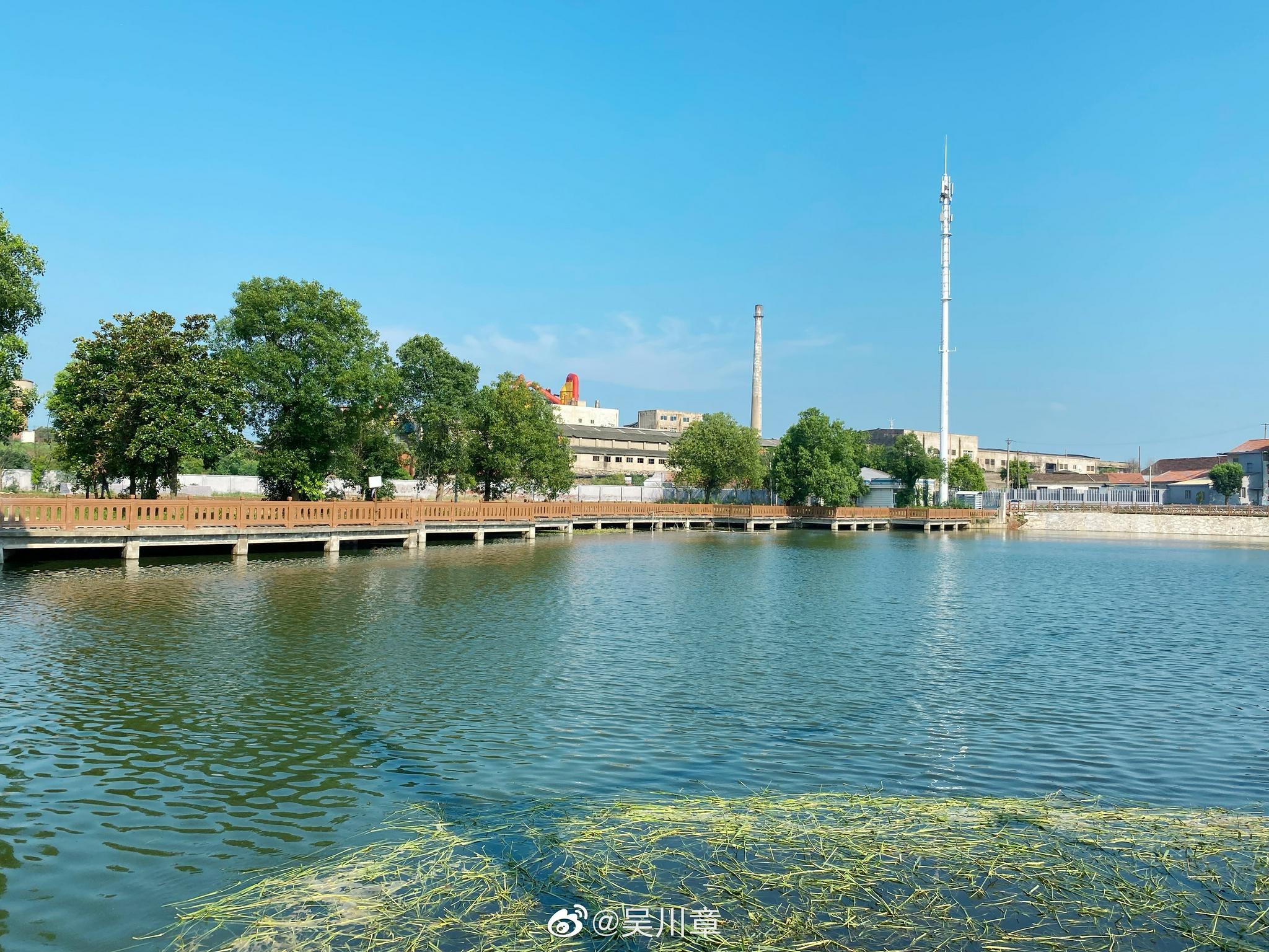 行走应城美丽乡村,看小康中国新画卷|中国|应城市_新浪新闻