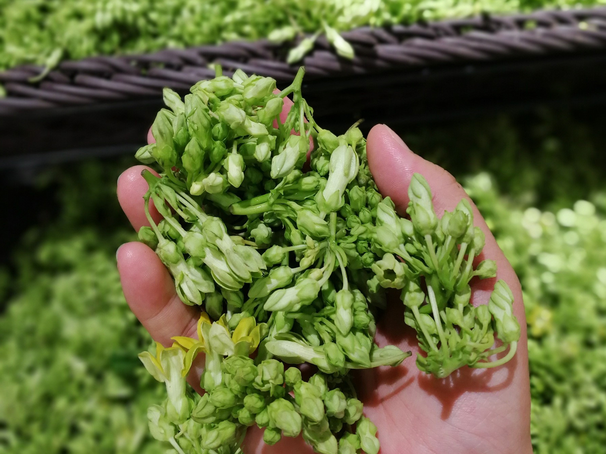 这菜热卖的时候见到它一定要买来尝尝炒着吃真香