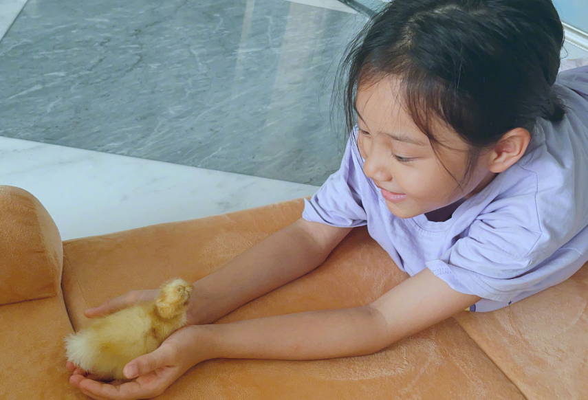 李小璐晒甜馨近照,女儿带小黄鸭一起酣睡,评论区却一片骂声不断