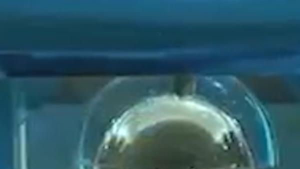 首批月壤发放十多个科研机构，做什么用？