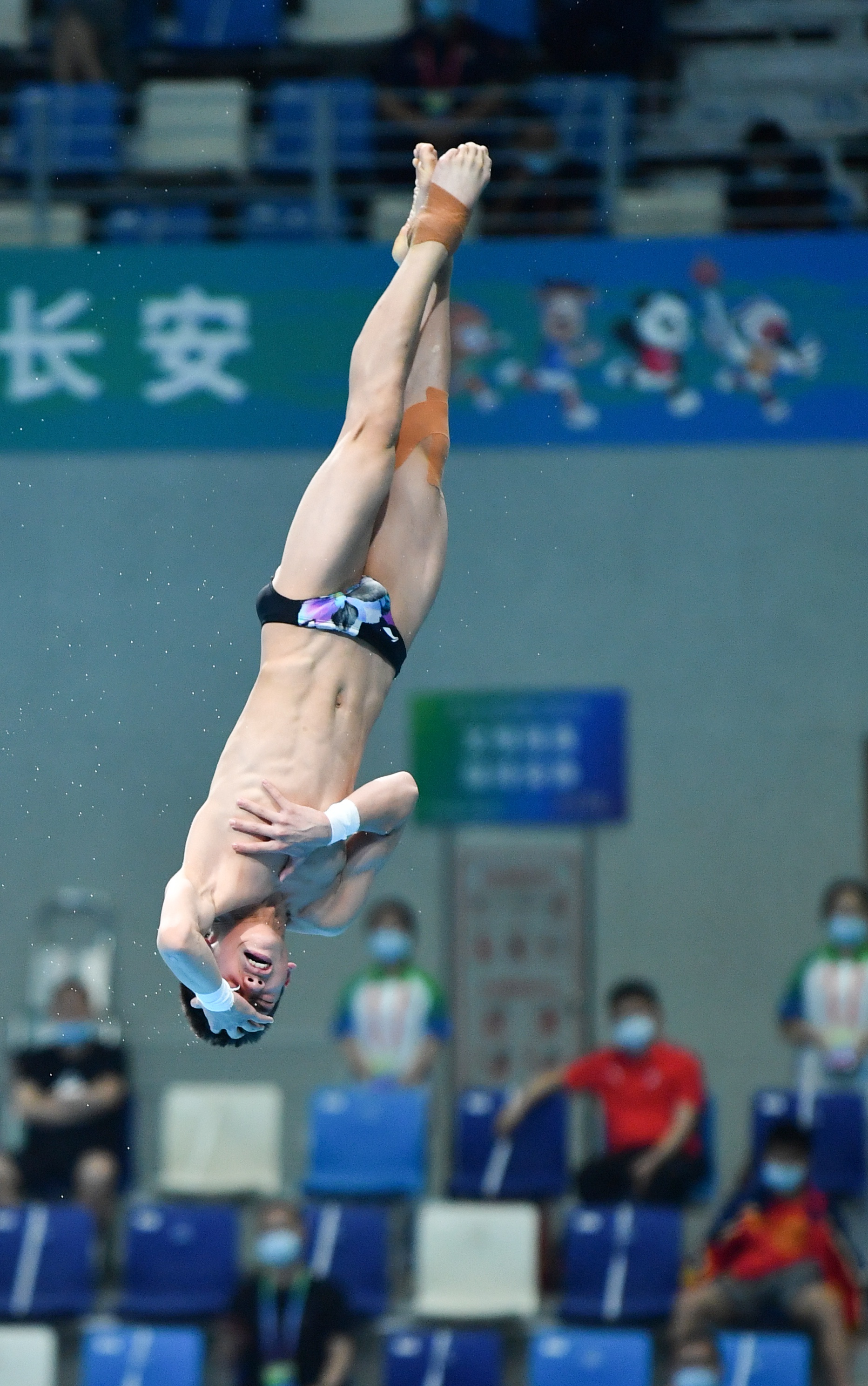 男性跳水运动员的照片图片