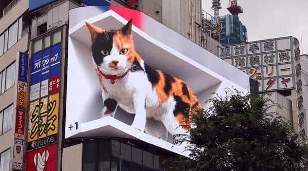 日本东京新宿街头现3d大花猫