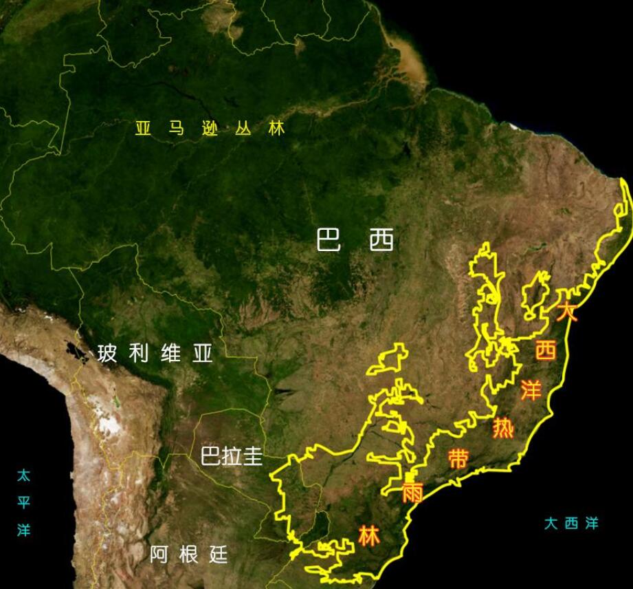 亚马逊|丛林|雨林_新浪新闻