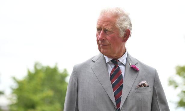 安妮预言成真奥普拉专访获美国艾美奖提名梅根哈里成反君模范