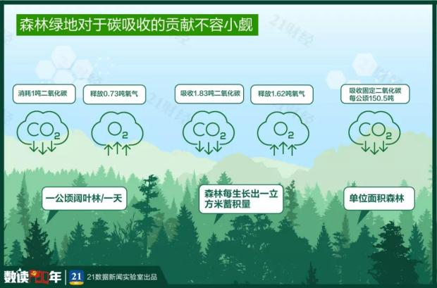 我们种了一片森林能源汇为地球减少28000000kg二氧化碳排放