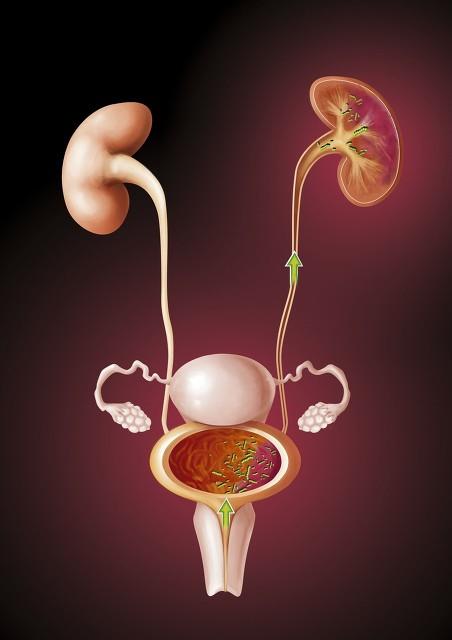 为什么糖尿病患者容易发生感染？常见的部位有哪些？如何预防感染休闲区蓝鸢梦想 - Www.slyday.coM