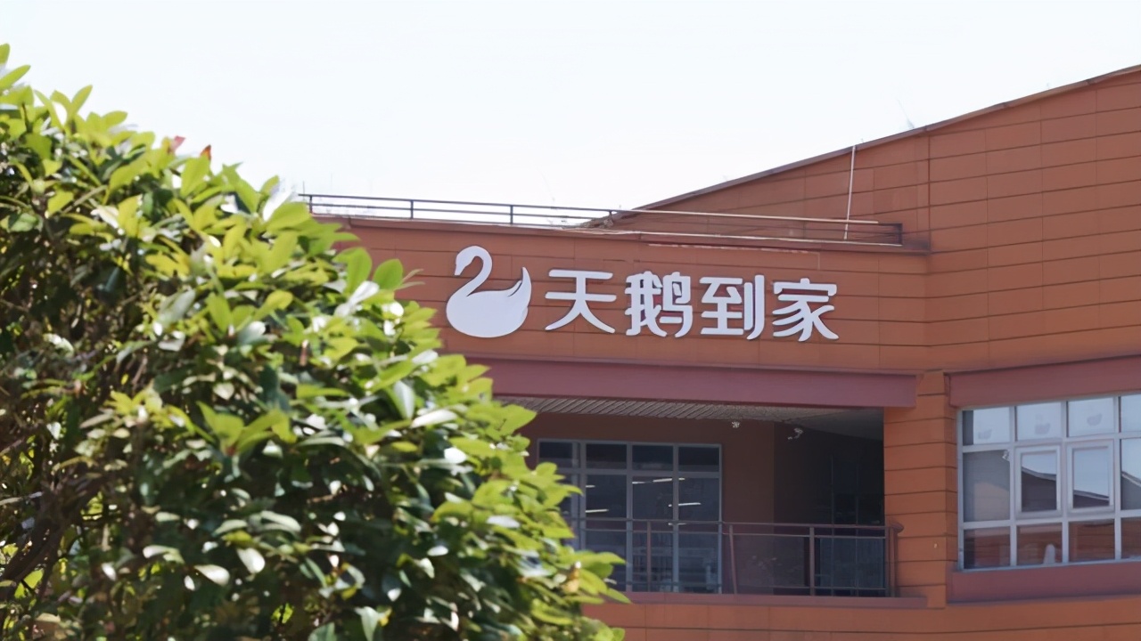 天鹅到家冲刺ipo高抽成仍巨亏保姆生意到底好不好做