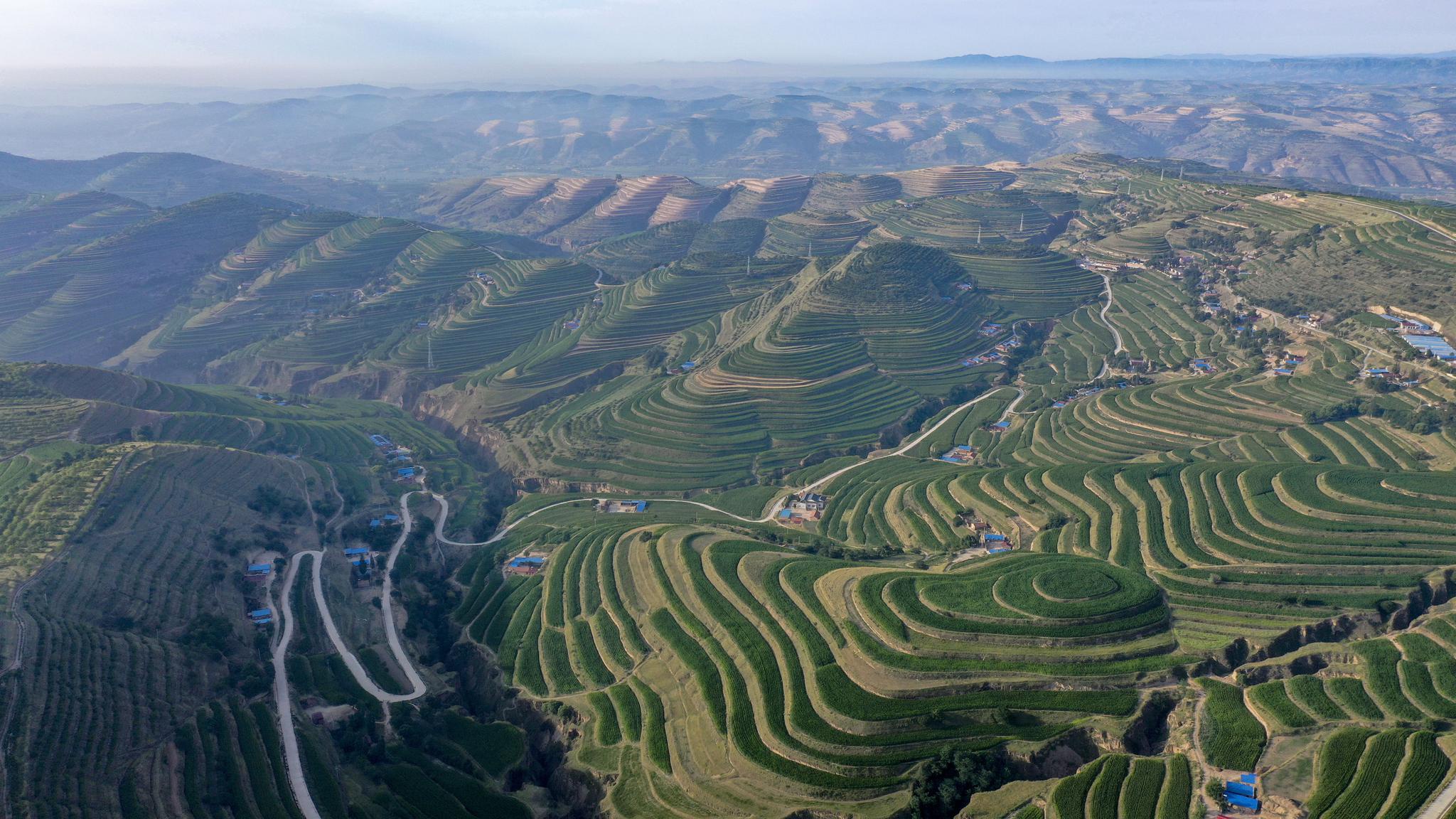 日出梯田霞光起 绿染旱塬风景秀|梯田|宁夏|固原市_新浪新闻