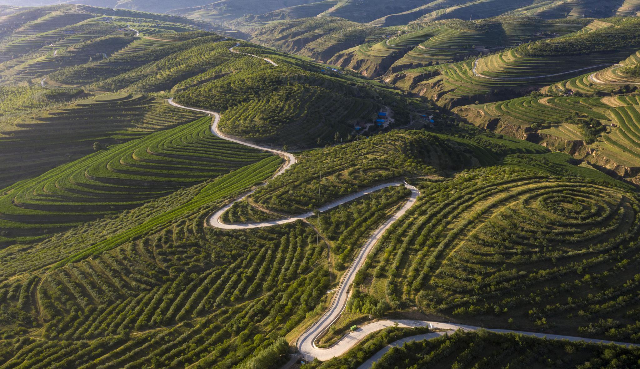 日出梯田霞光起 绿染旱塬风景秀|梯田|宁夏|固原市_新浪新闻