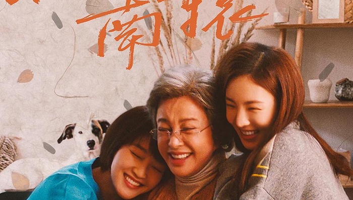 《北辙南辕》首播引争议，冯小刚的"网剧处女秀"还能打响吗？|冯小刚 - Vimarsana News