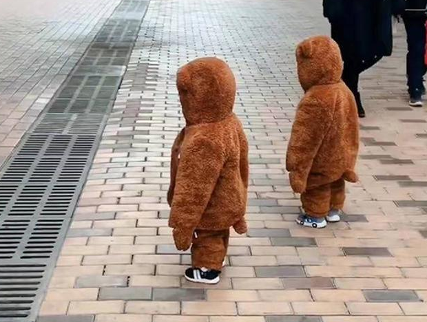 双胞胎遛弯偶遇泰迪,"撞衫"场面太搞笑了,宝宝:好像哪里不对