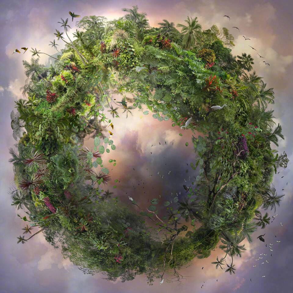 植物星球(由大量照片数字合成)|catherine